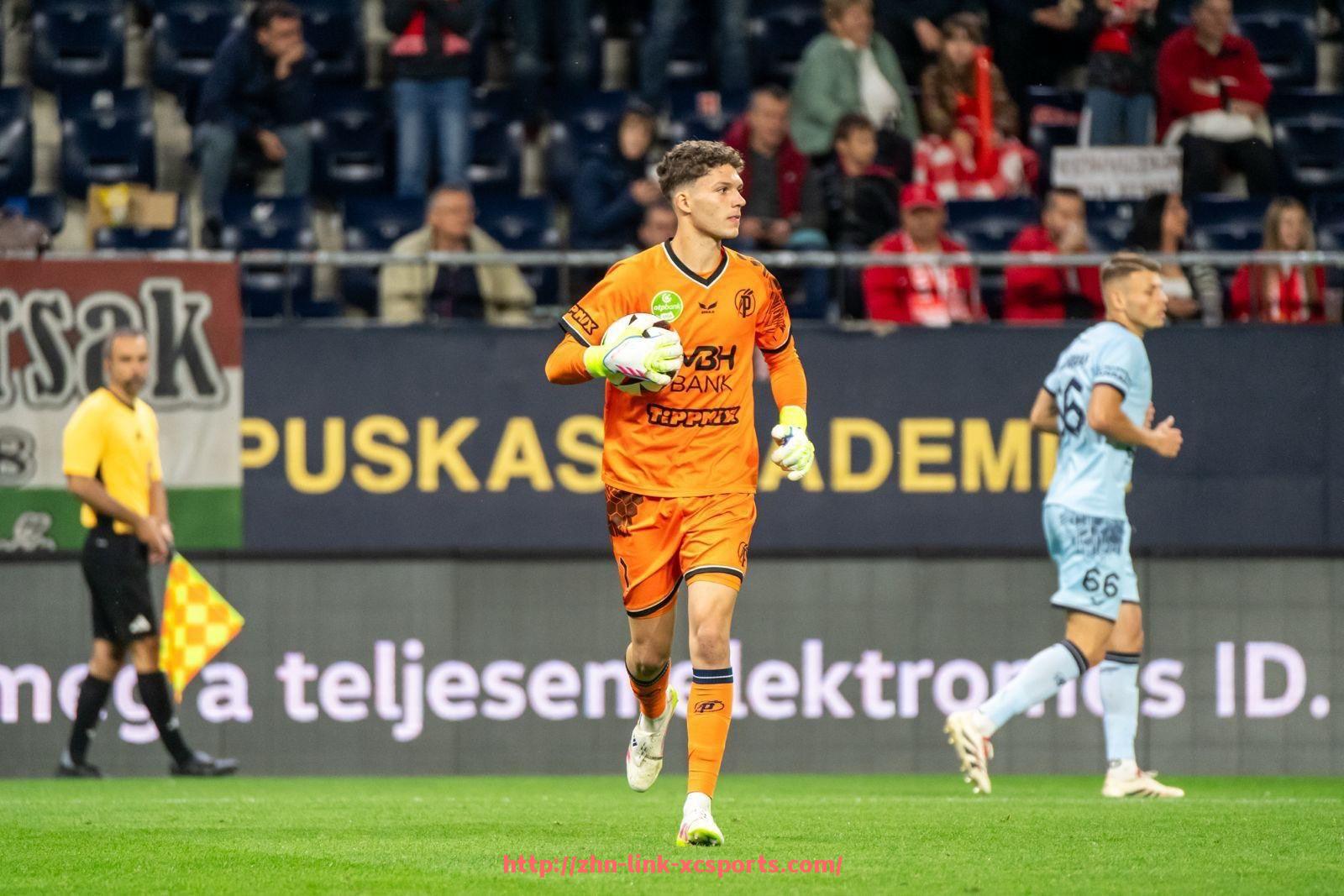 杏彩体育-英超热刺球员的国籍分布及多样性分析