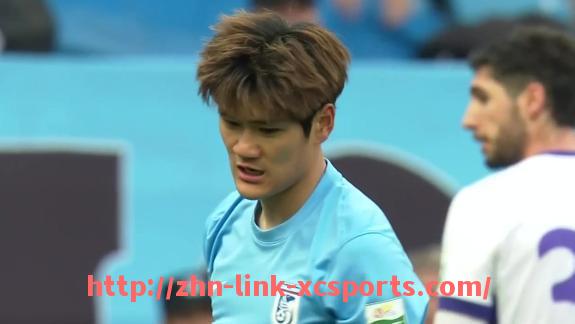 杏彩体育-西甲足球付费直播服务详解与订阅流程