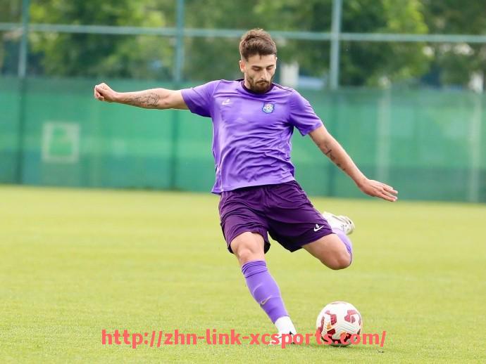 杏彩体育-英超球队名字的多样叫法及昵称背后的文化故事