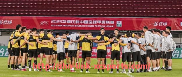 杏彩体育-世俱杯新兴黑马球队崛起分析，潜力阵容引发热议