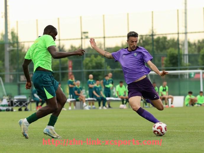 杏彩体育-德甲球队运营状况的分析与改进方向